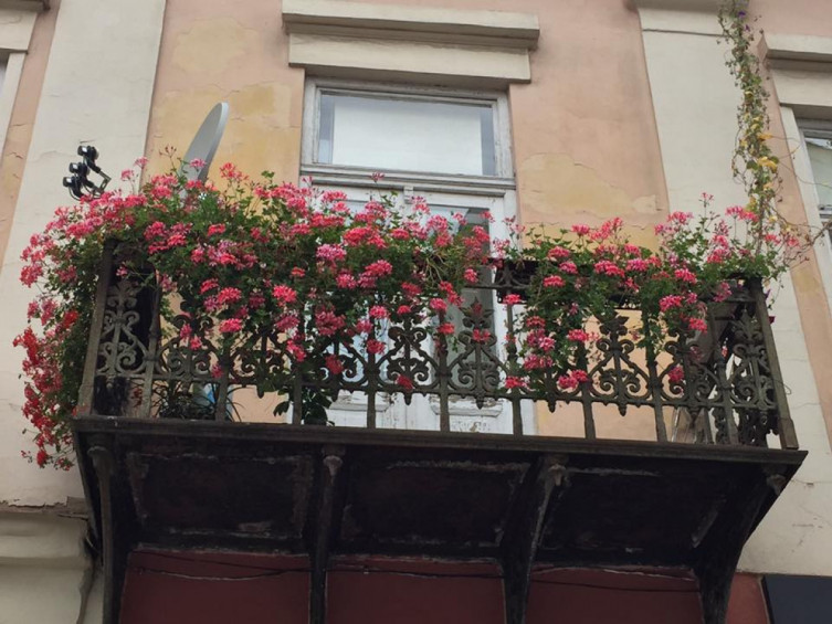 Чим ужгородці прикрашають свої балкони?