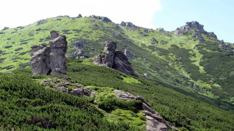 Літо в Карпатах: де туристам шукати чудернацькі “вухаті” вершини: фото
