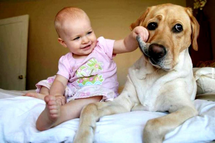 Дитина з собакою