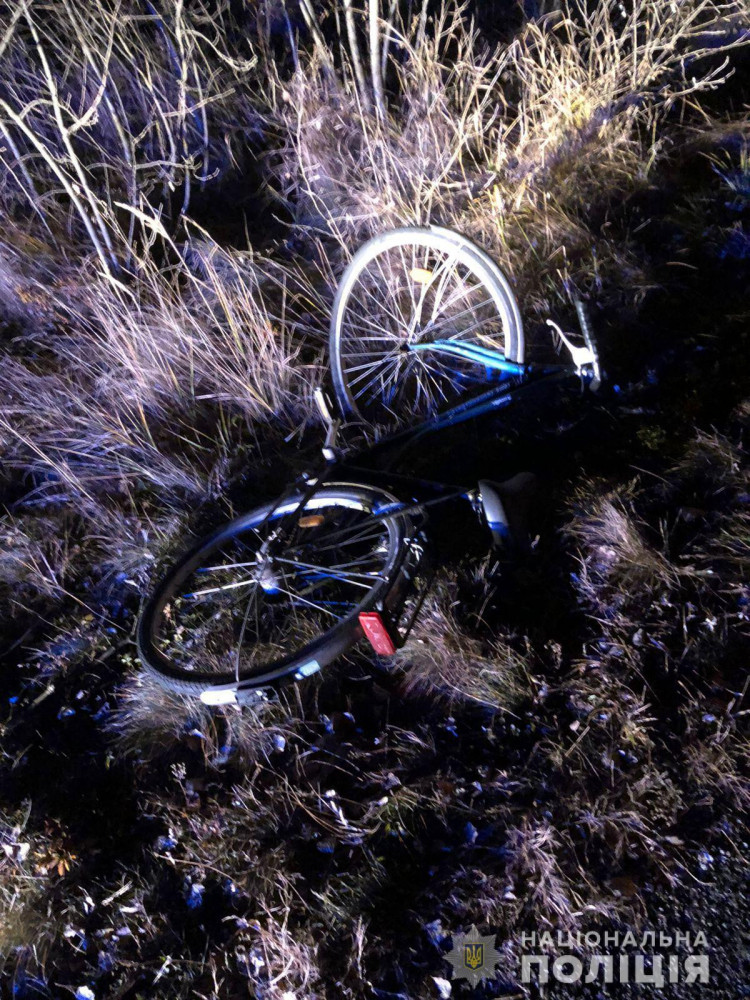 У селі Свобода п"яний водій збив велосипедистку