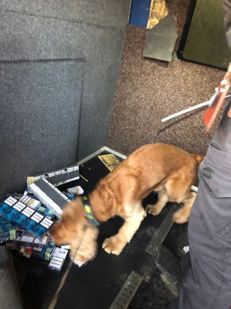 Пес винюхав контрабандні сигарети в мікроавтобусі